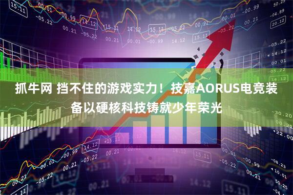 抓牛网 挡不住的游戏实力！技嘉AORUS电竞装备以硬核科技铸就少年荣光