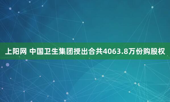上阳网 中国卫生集团授出合共4063.8万份购股权