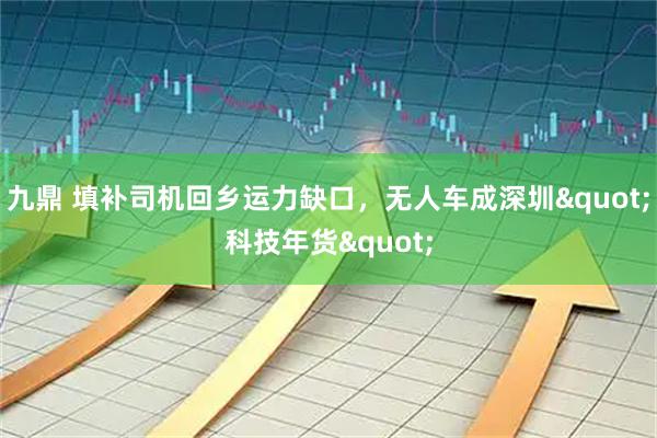 九鼎 填补司机回乡运力缺口，无人车成深圳"科技年货"