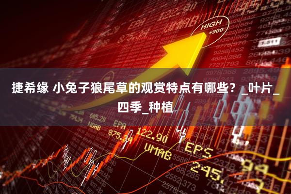 捷希缘 小兔子狼尾草的观赏特点有哪些？_叶片_四季_种植